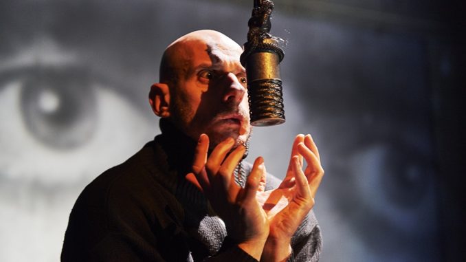 Il processo per l'ombra dell'asino